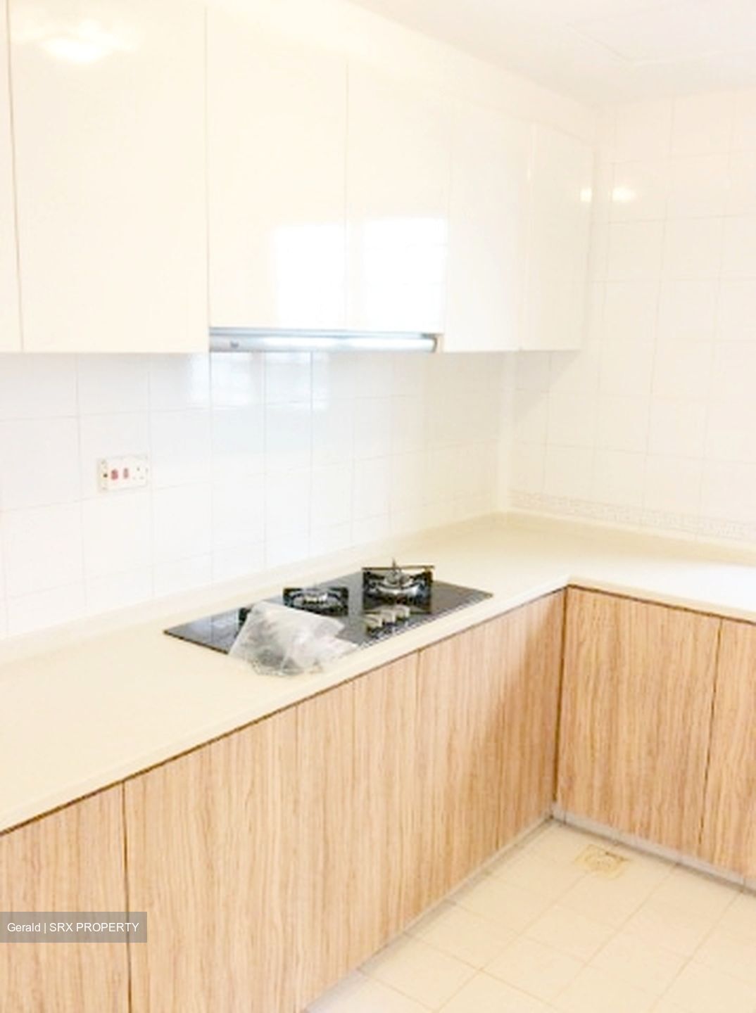 Parkway View (D15), Apartment #486828741